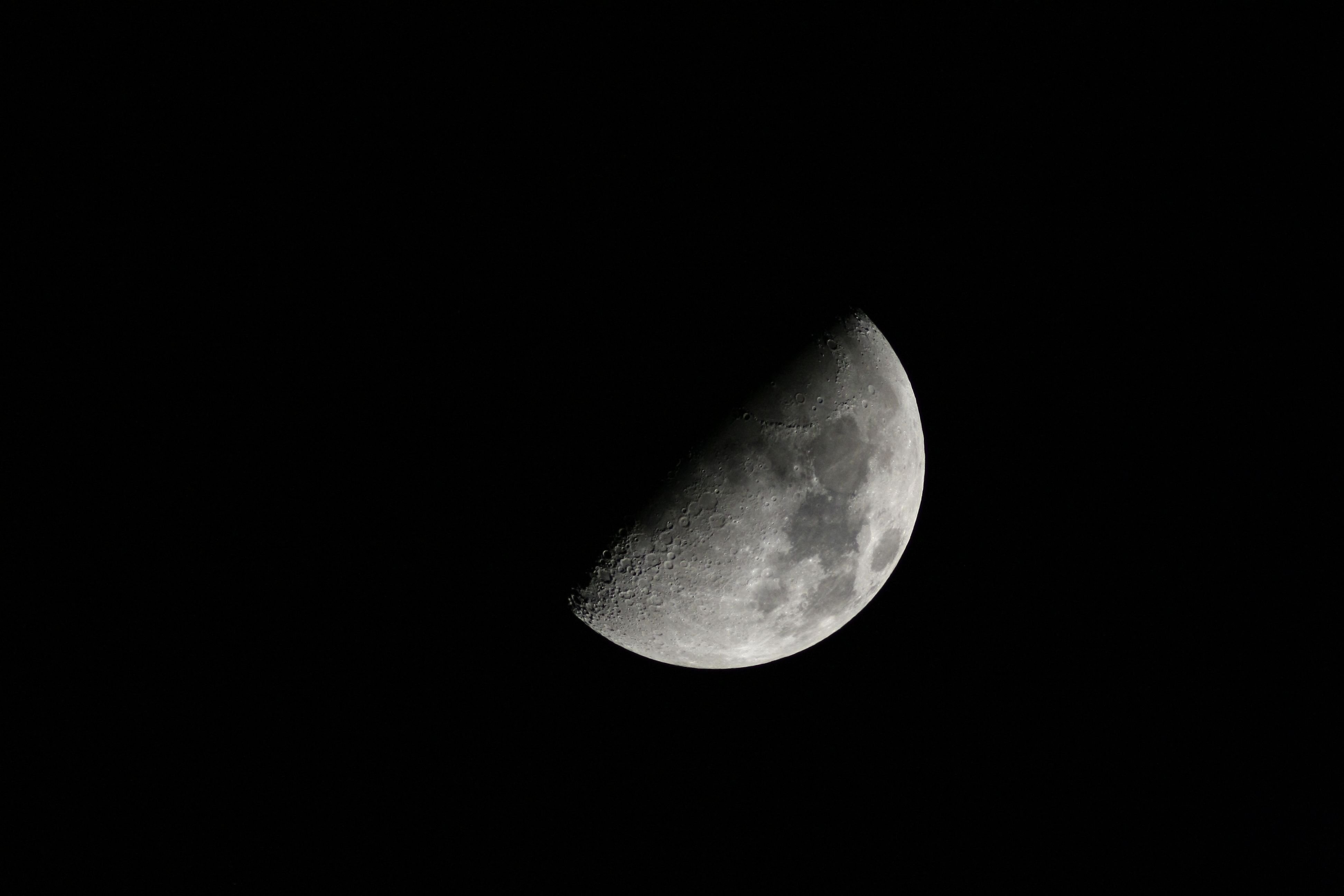 20110313 009a.jpg