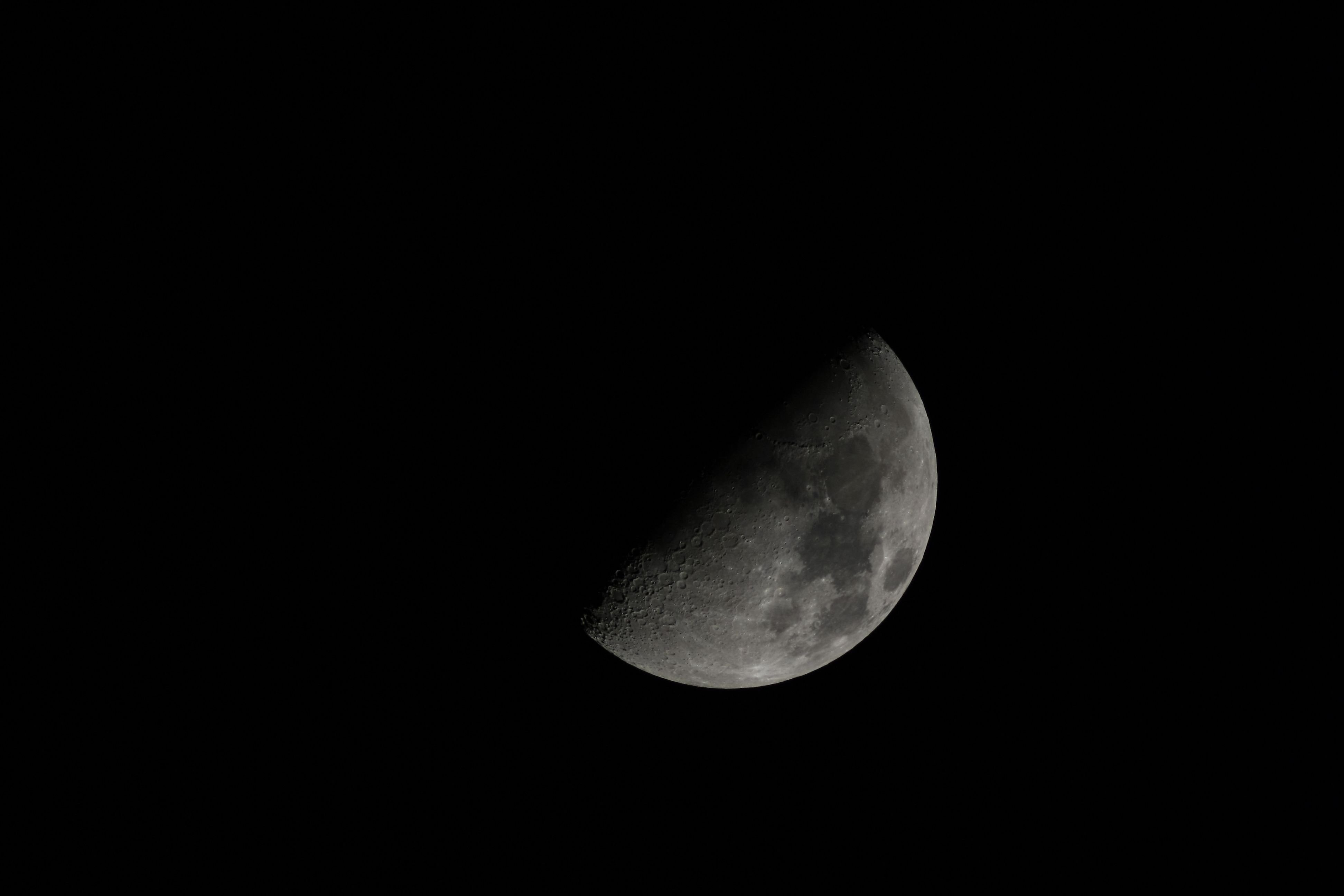 20110313 011a.jpg
