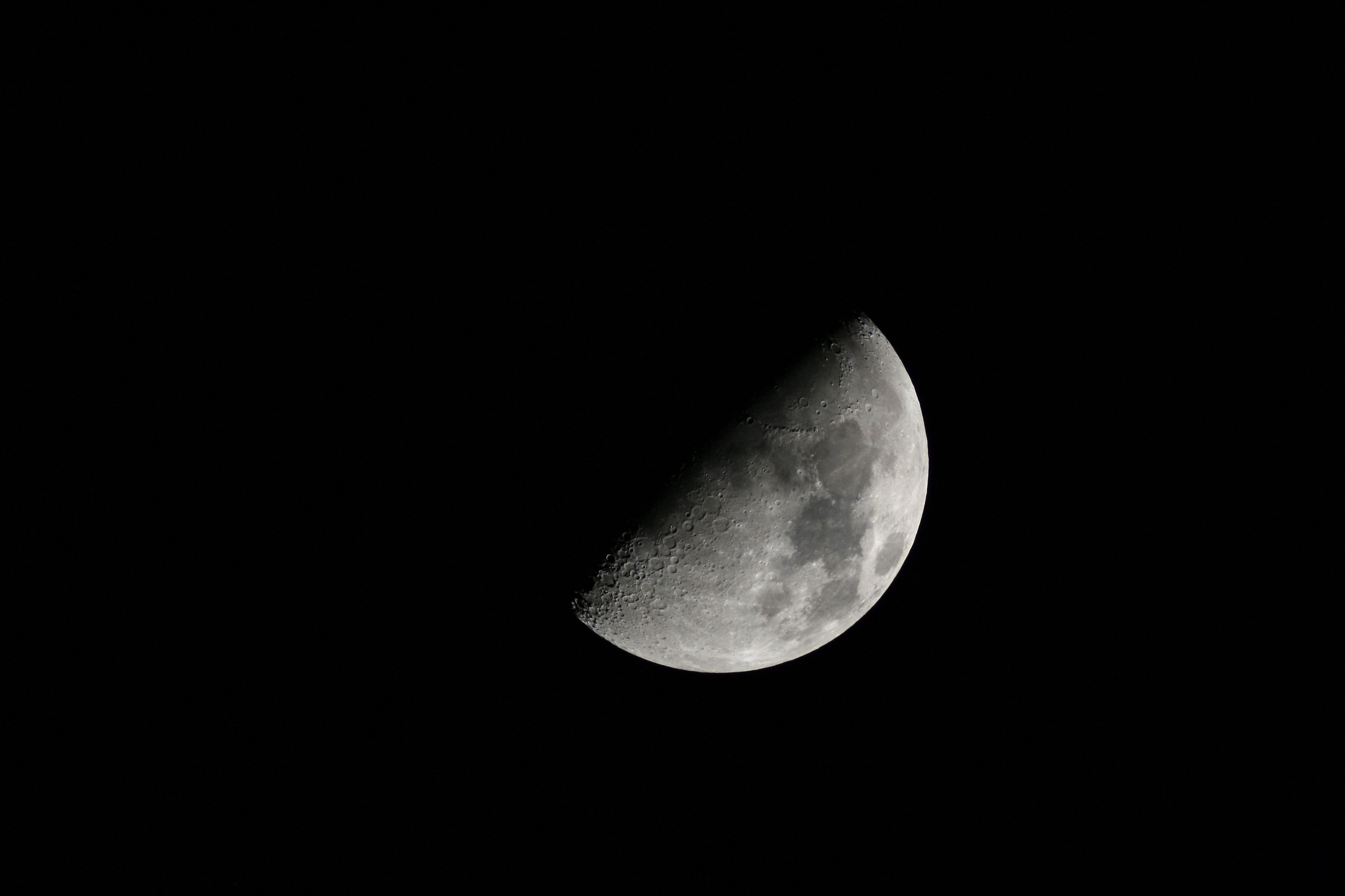 20110313 010a.jpg