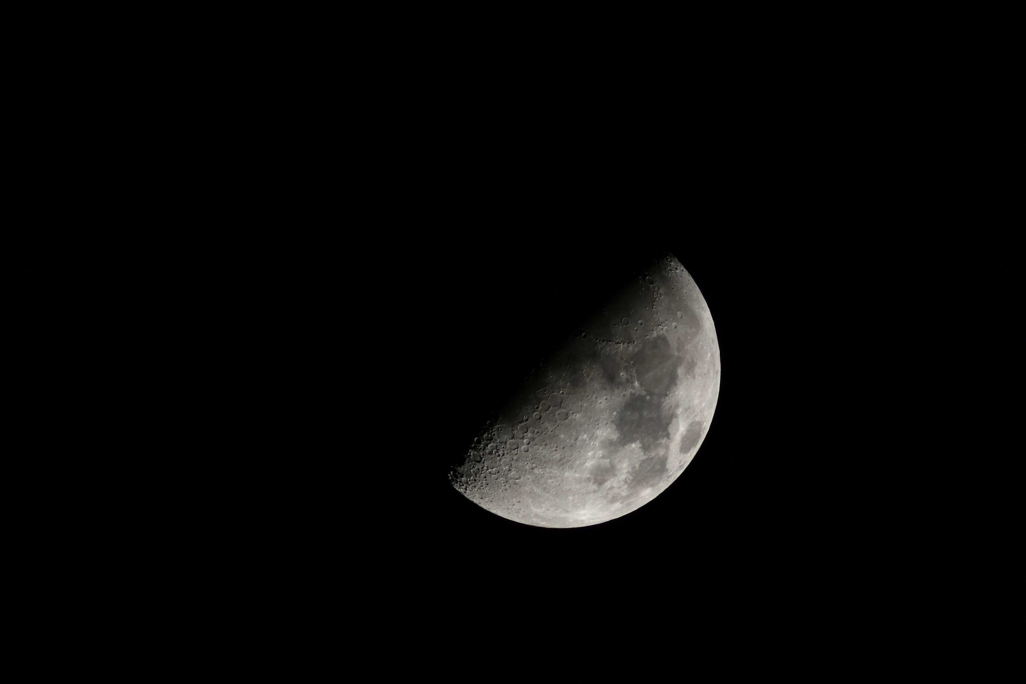 20110313 014a.jpg