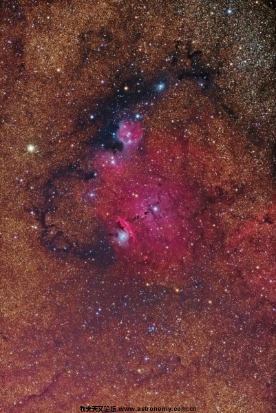 NGC6559_widefield.jpg