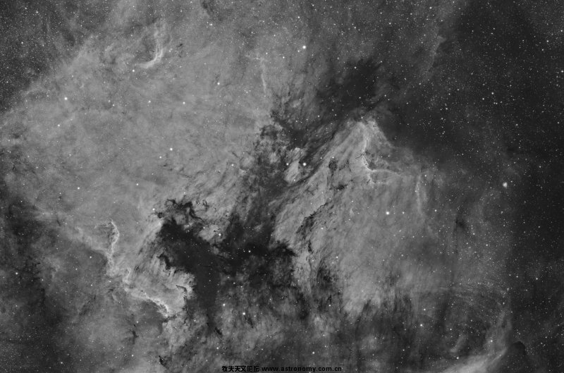 NGC7000_and_Pelican.jpg