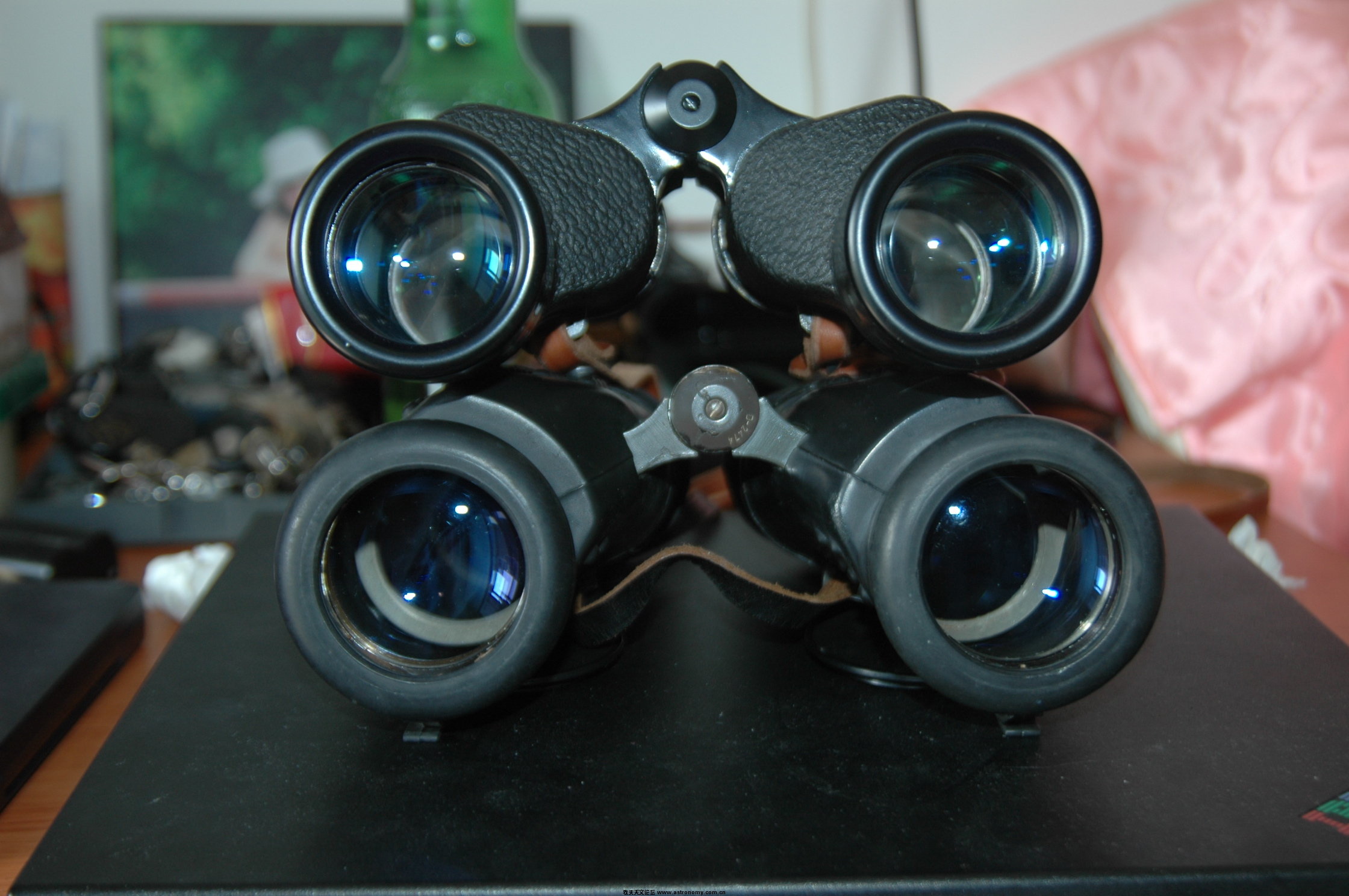 DSC_4246.JPG