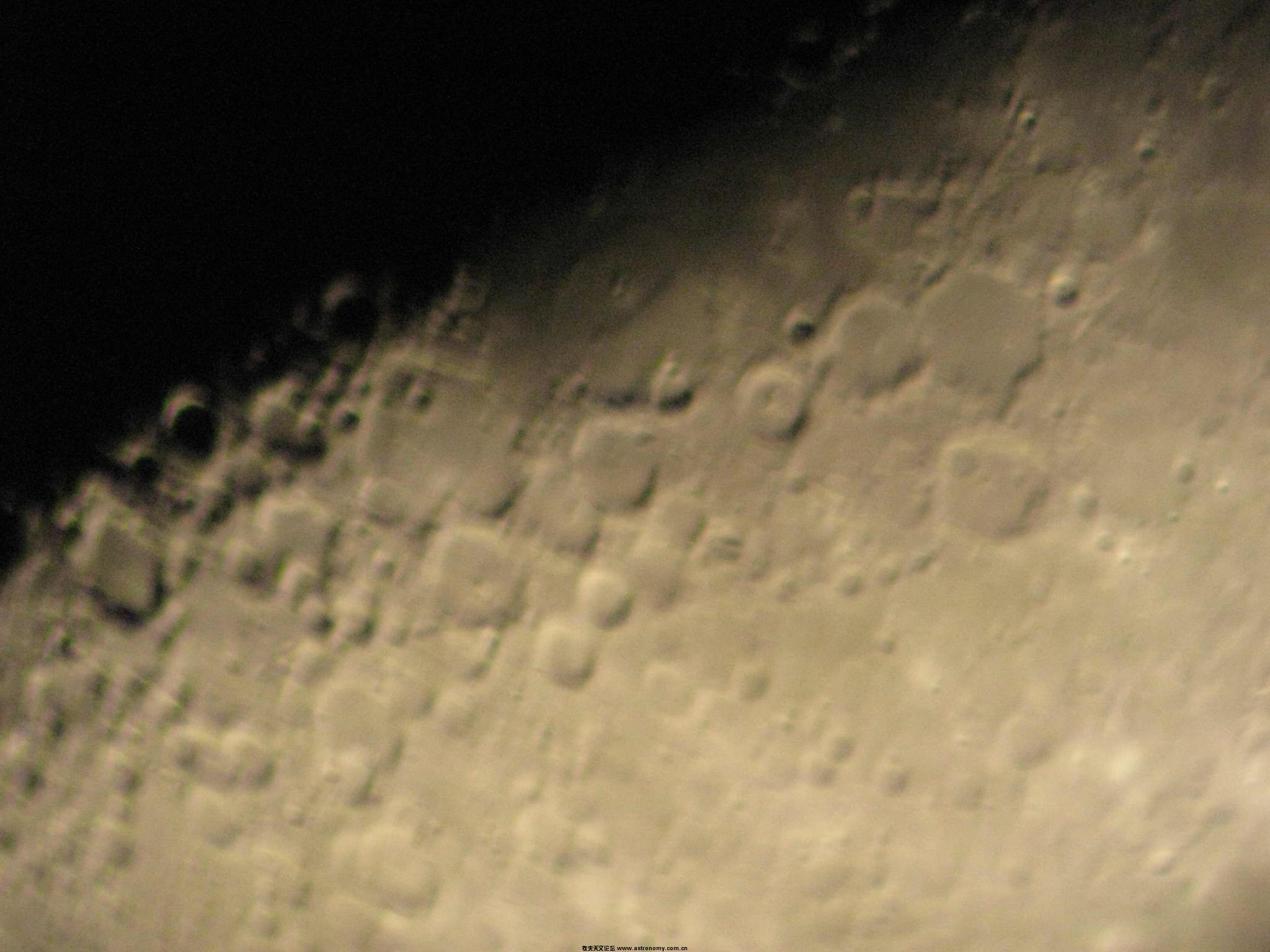 IMG_1441S.jpg