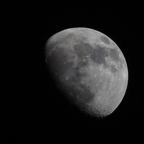 IMG_7443.jpg