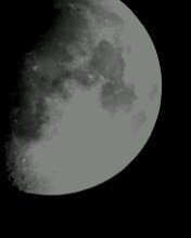 IMG0015A.jpg
