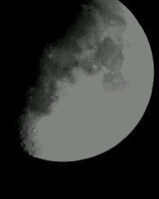 IMG0016A.jpg