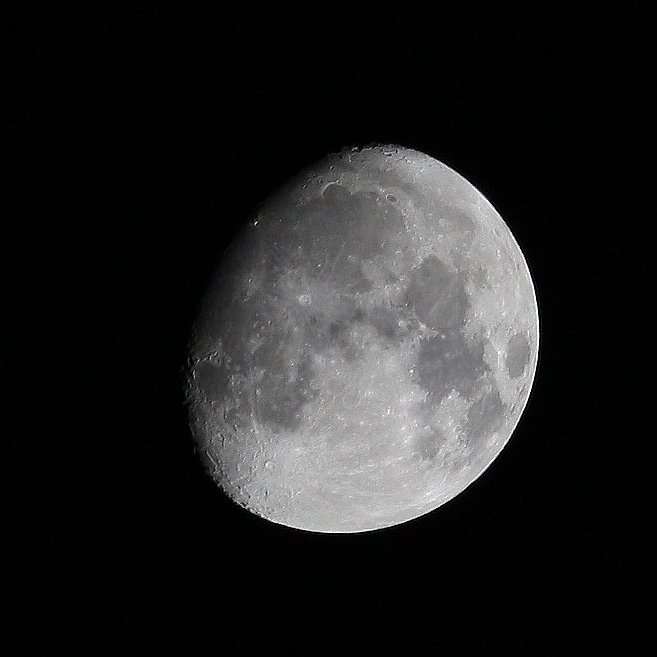 IMG_7456.jpg