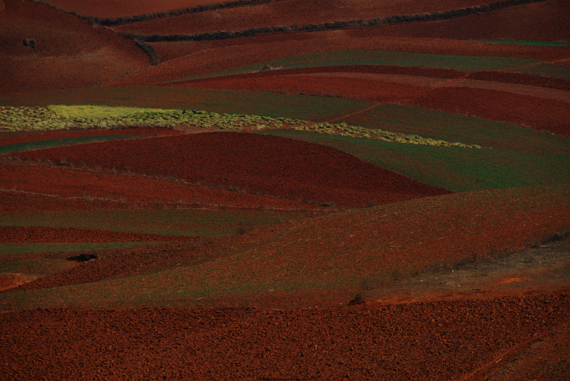 DSC_0202-1.jpg