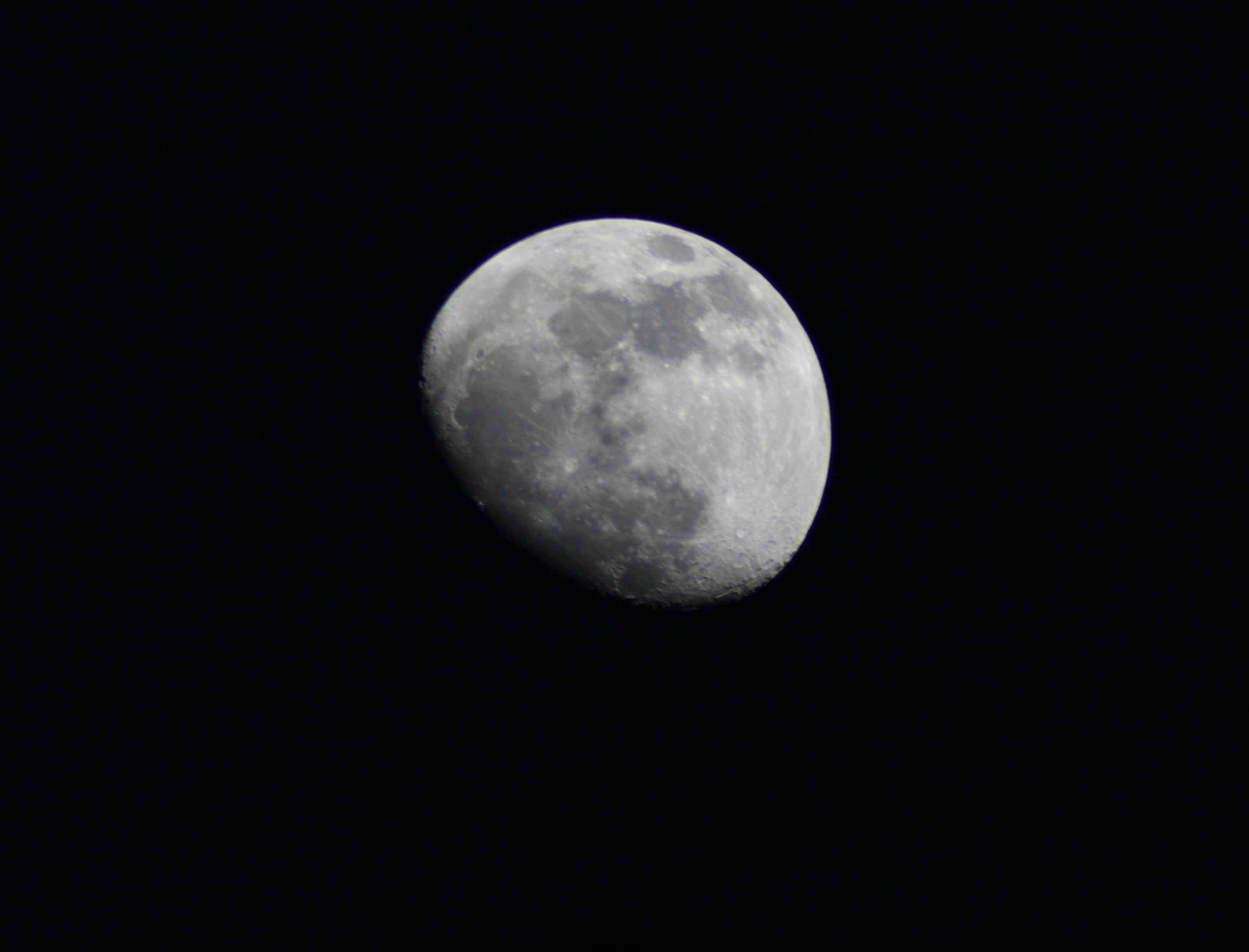IMG_8397.JPG