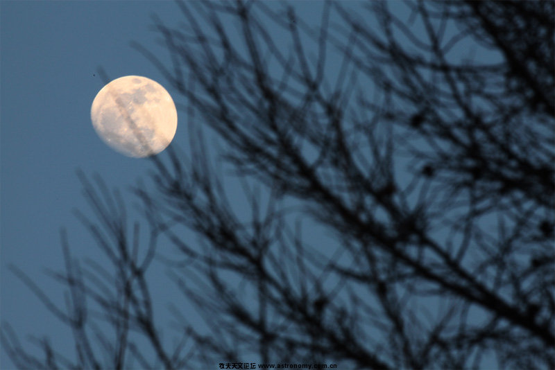moon.jpg