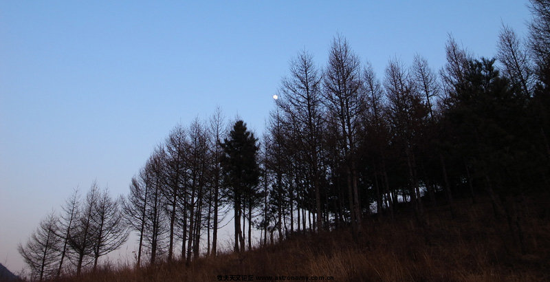 moon1.jpg