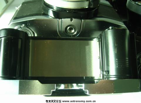 旋转 调整大小 旋转 IMG_6151.jpg