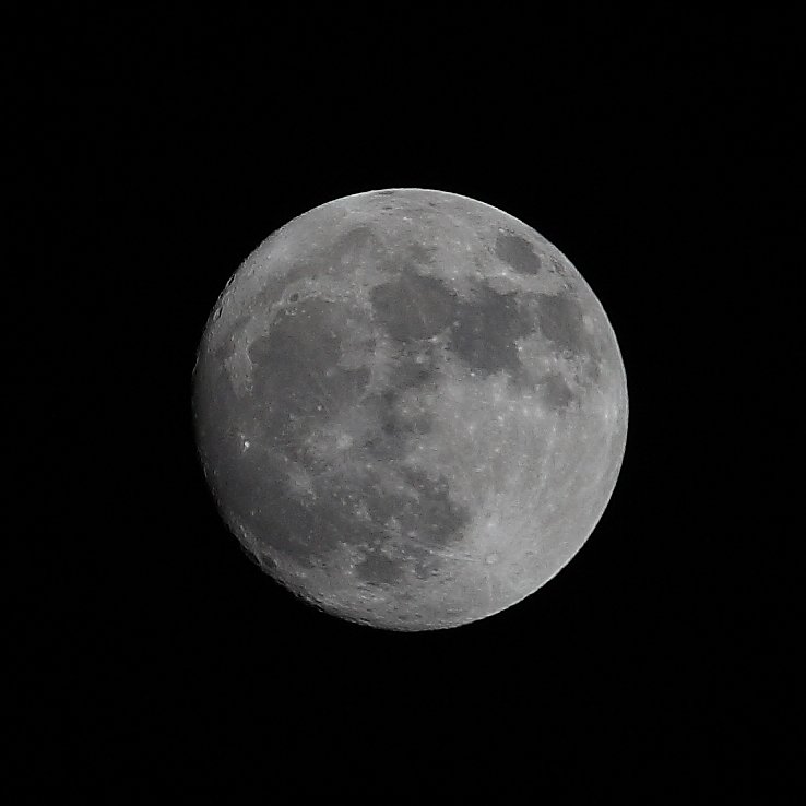 IMG_7470.JPG