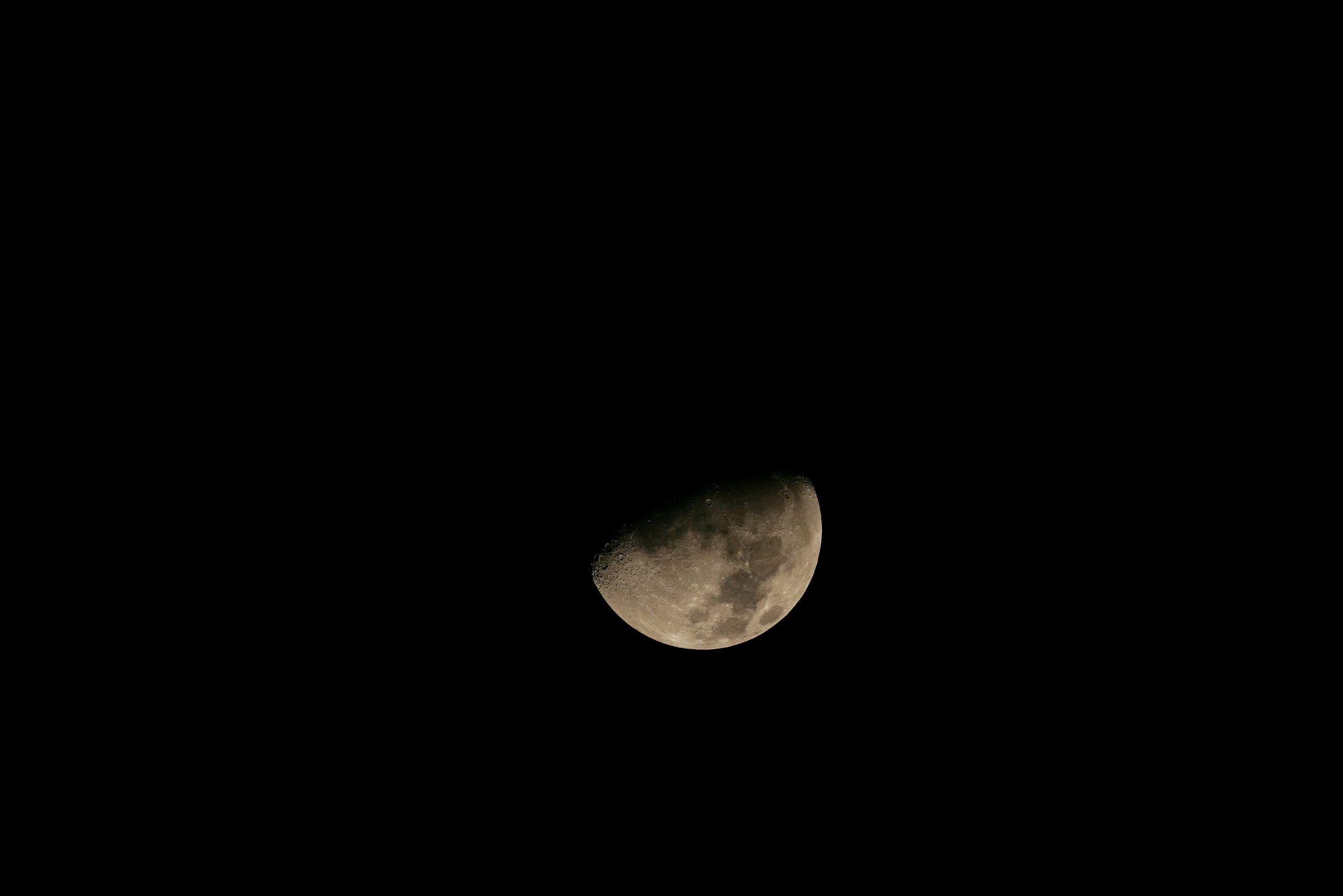 IMG_0277.jpg