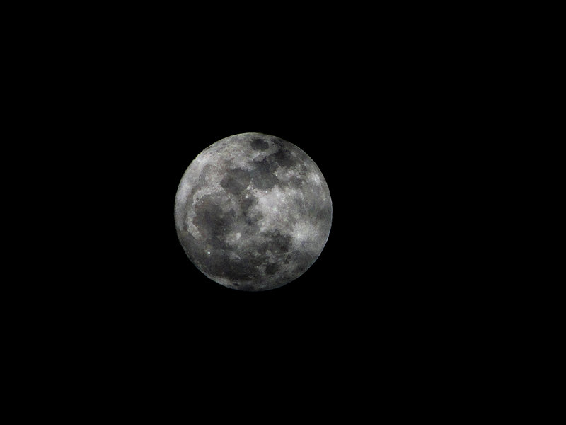 DSC03686.jpg