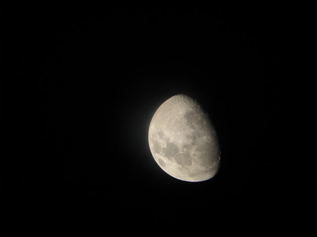 IMG_0024.JPG