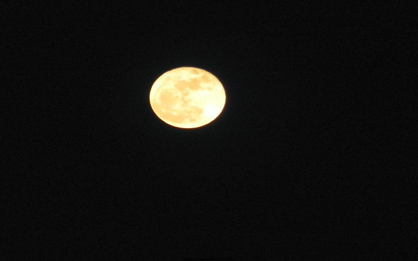 P3200793_conew1.jpg