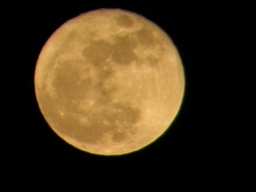 P3200794_conew1.jpg