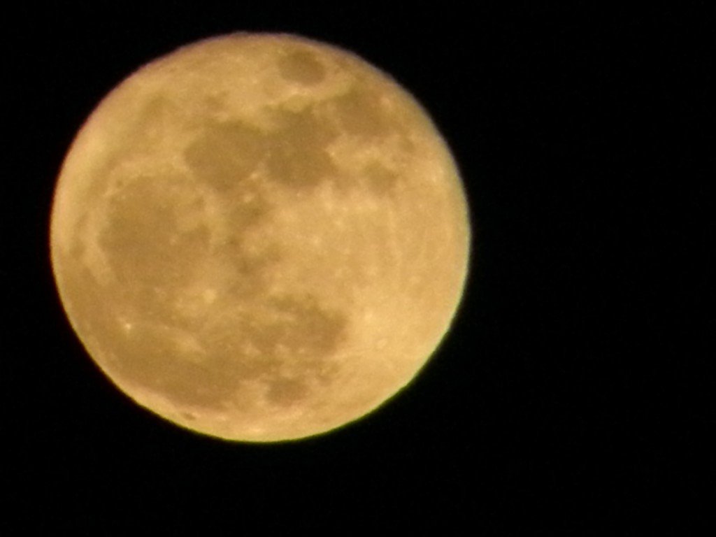 P3200795_conew1.jpg
