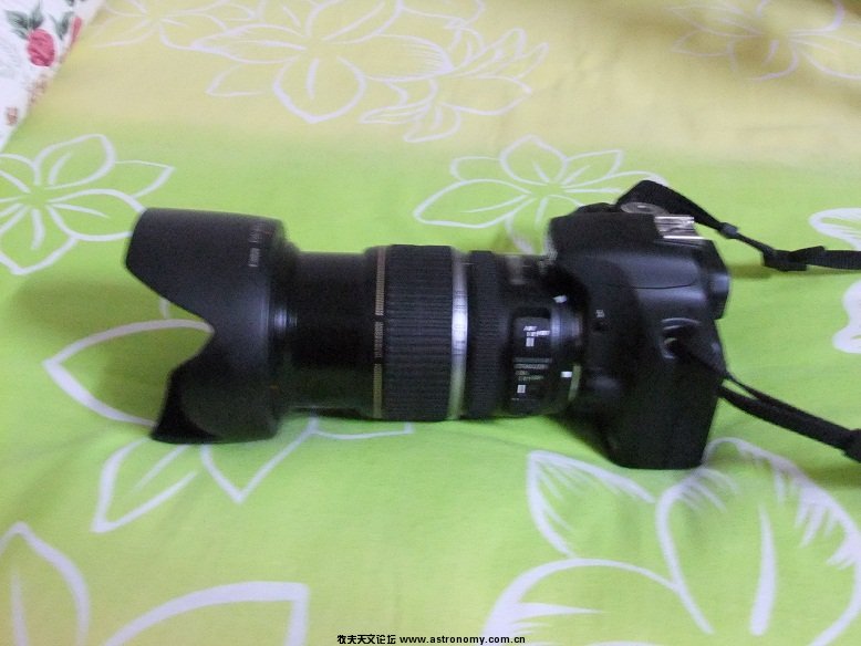 DSCF2702.JPG