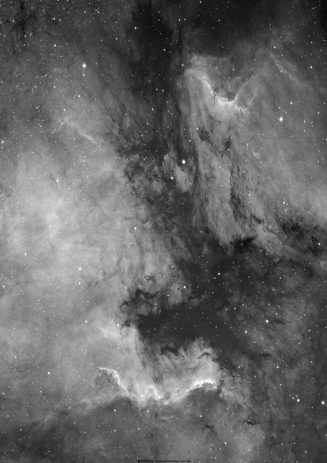 ngc7000medium2.jpg