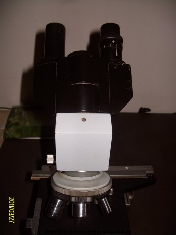 ALIM7109.jpg