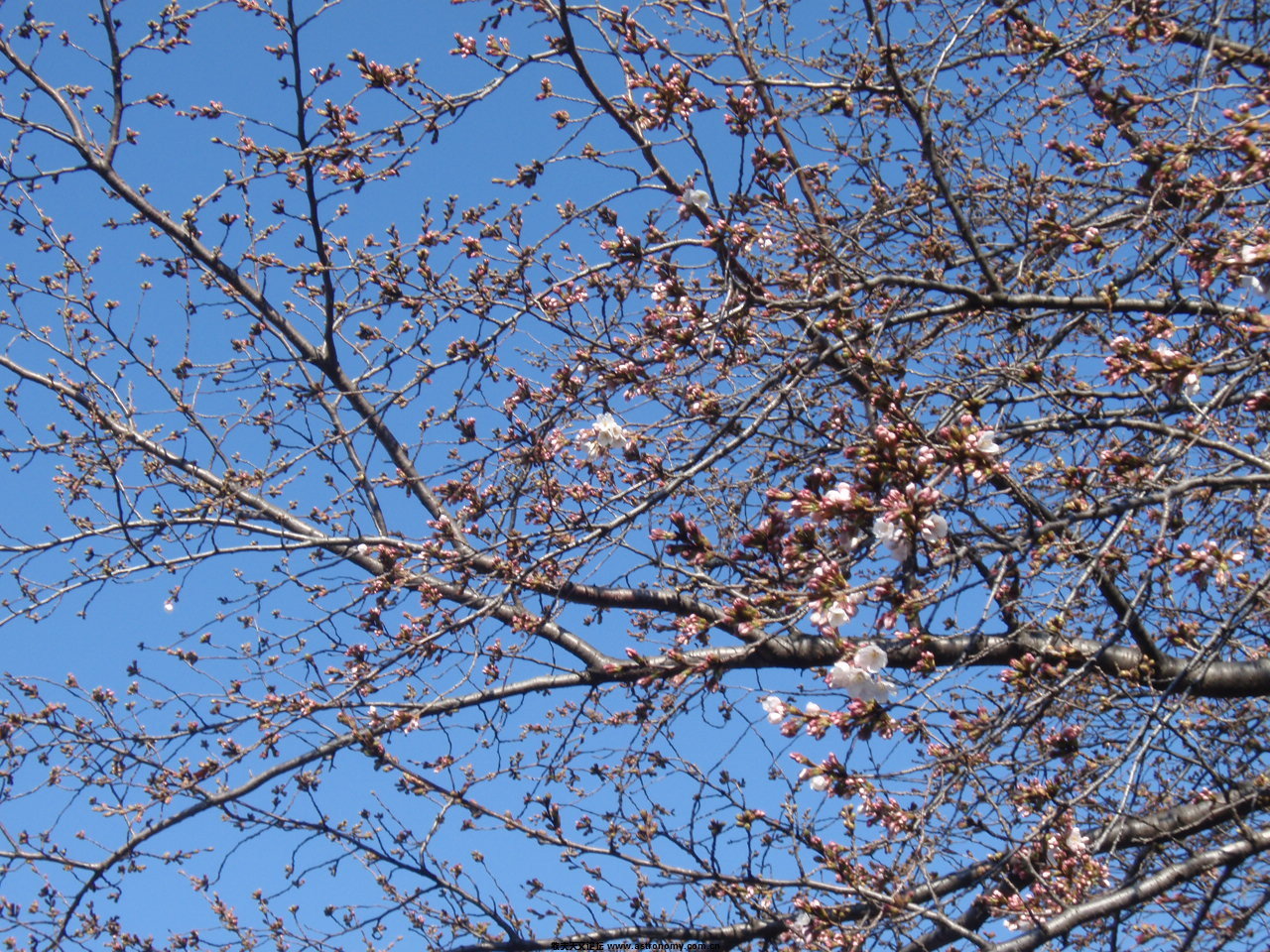 P4011642.JPG