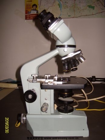 ALIM7129.jpg