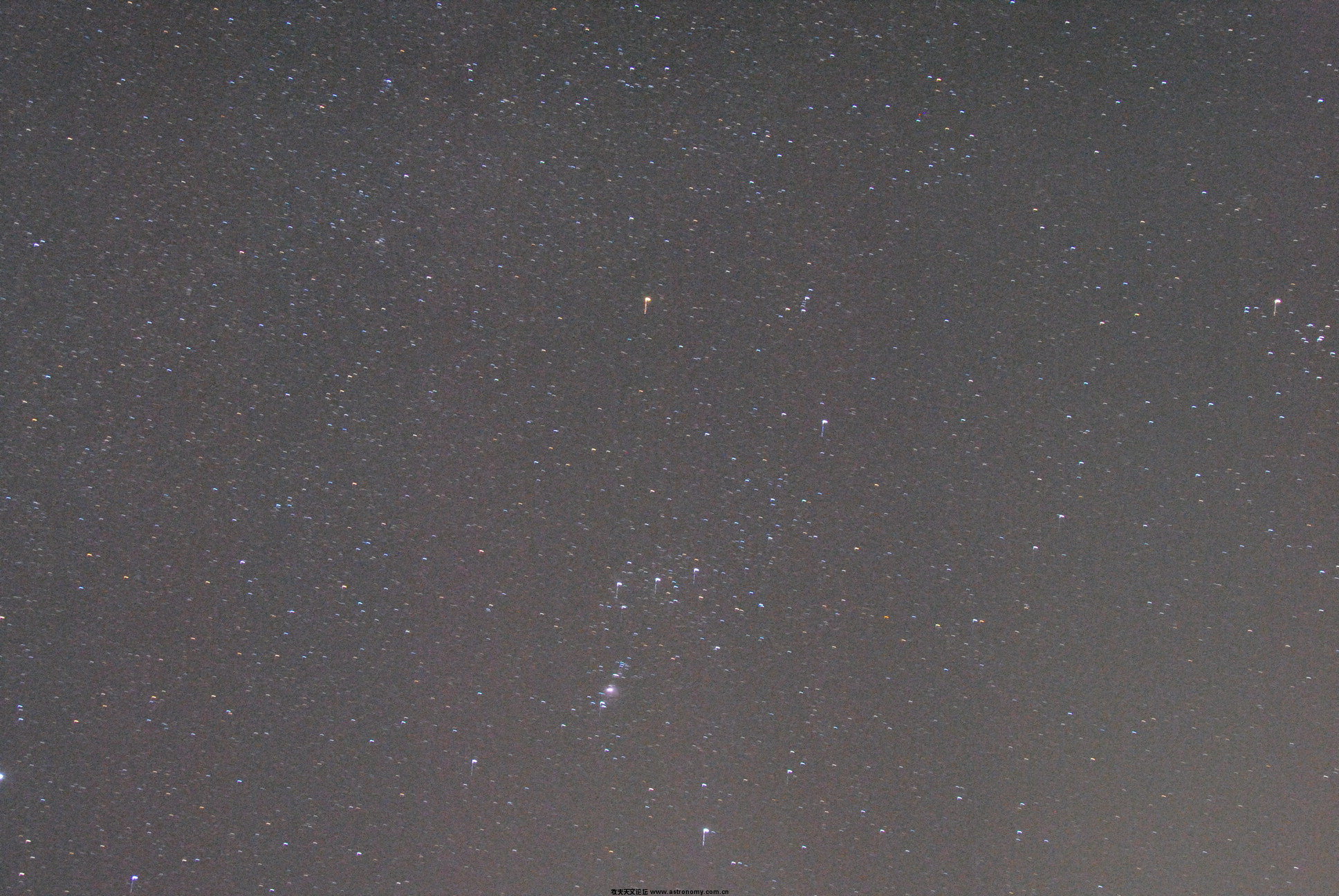 DSC_1541_1.jpg