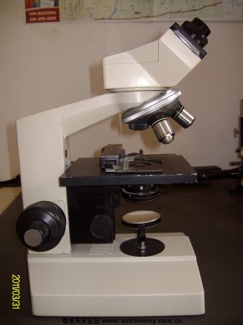 ALIM7142.jpg