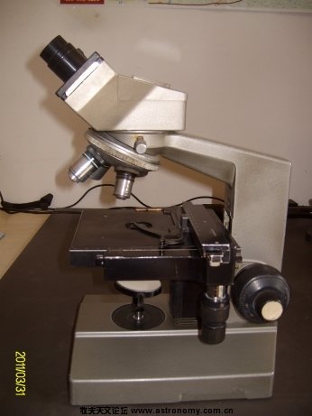 ALIM7153.jpg