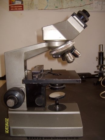 ALIM7151.jpg