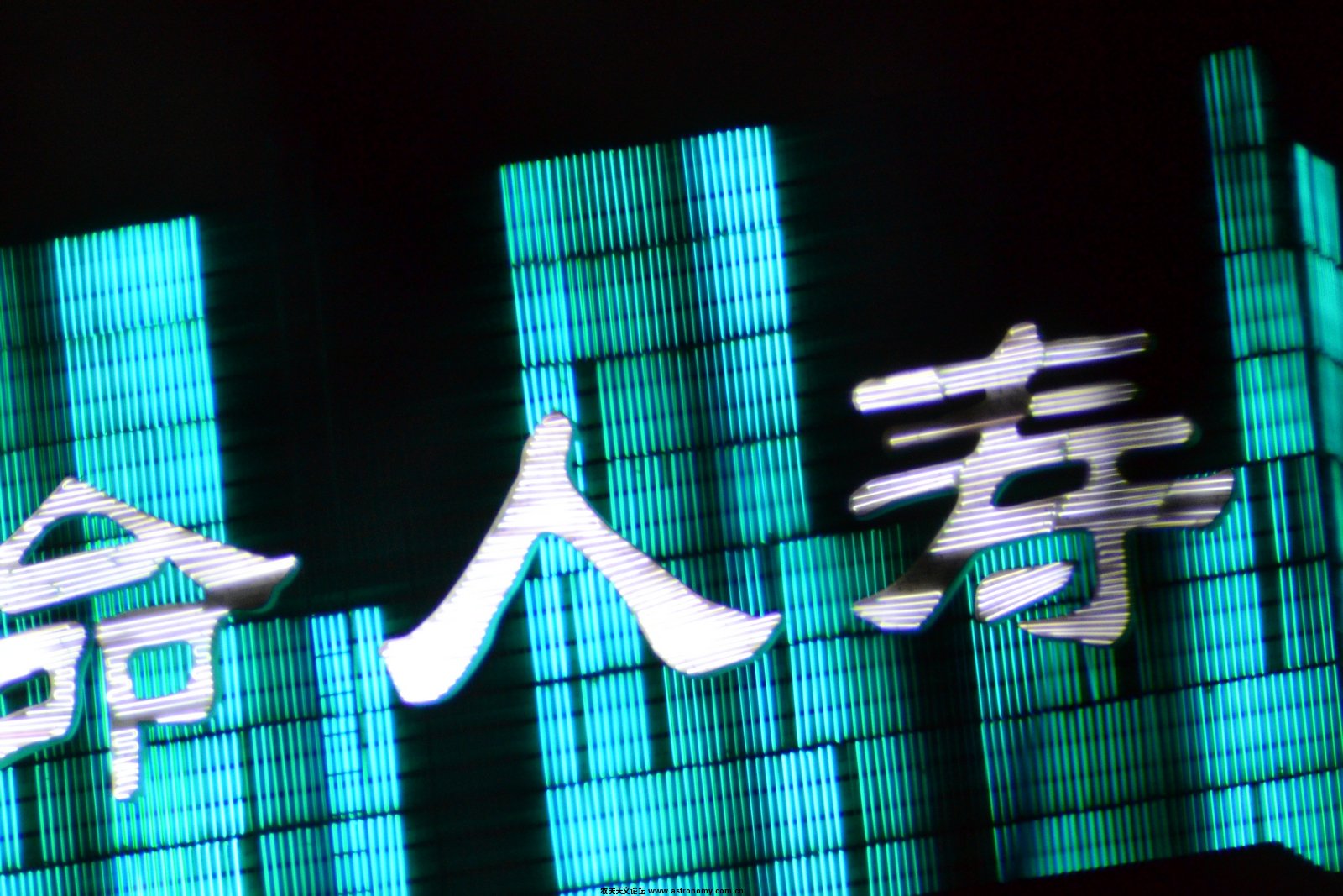 90800单张_1.jpg