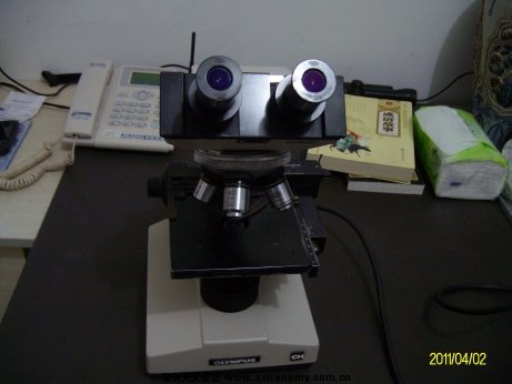 ALIM7235.jpg