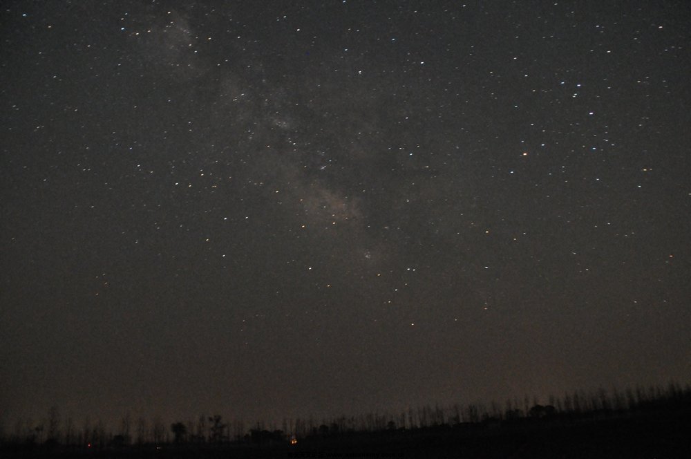 DSC_0040.JPG