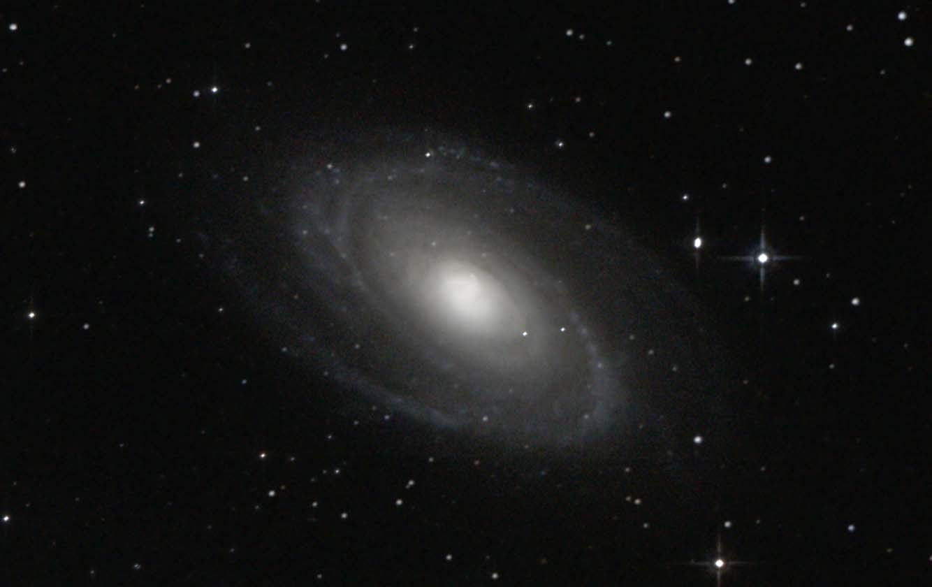 M81_b.jpg