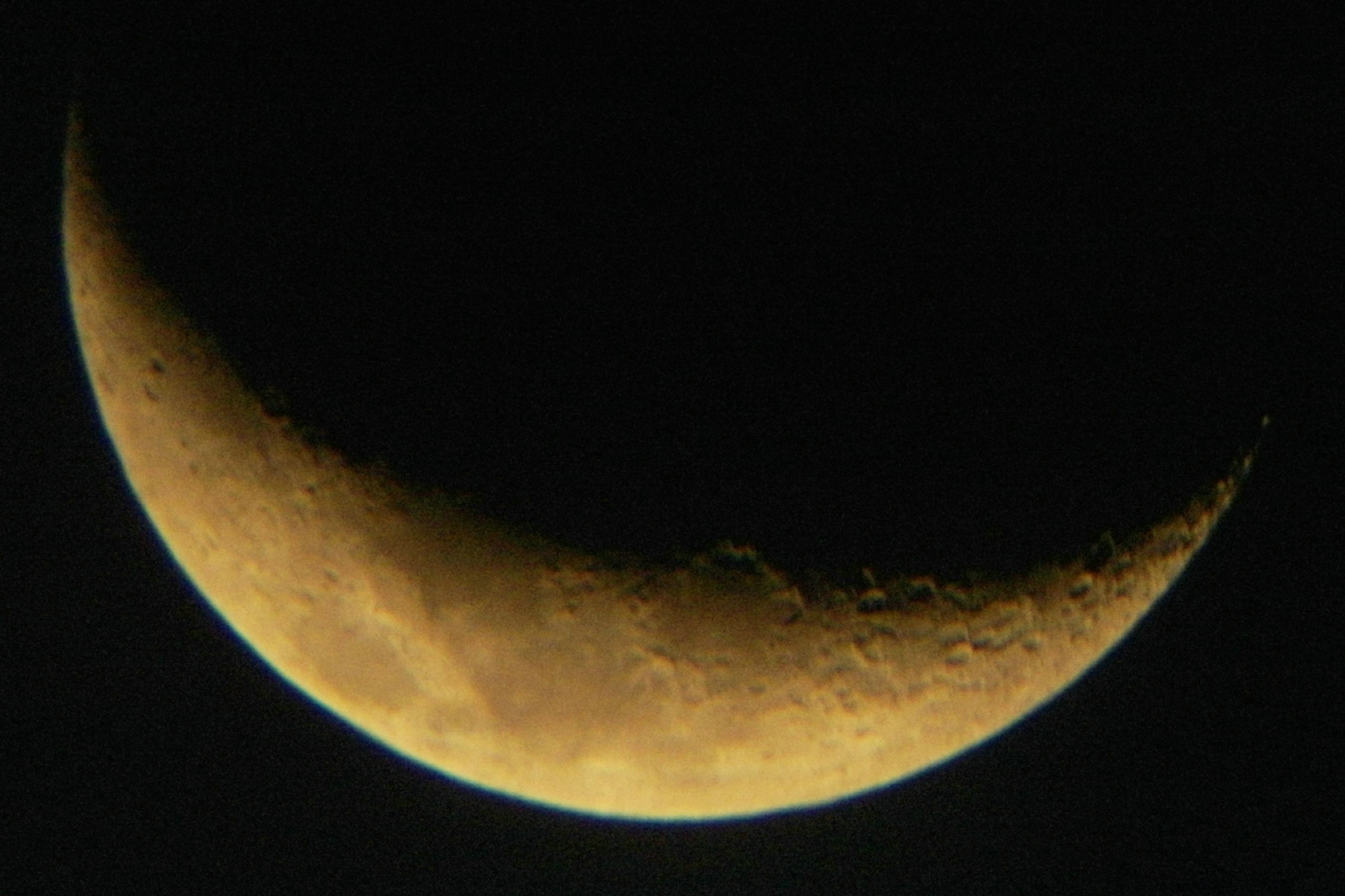 SDC11864.JPG