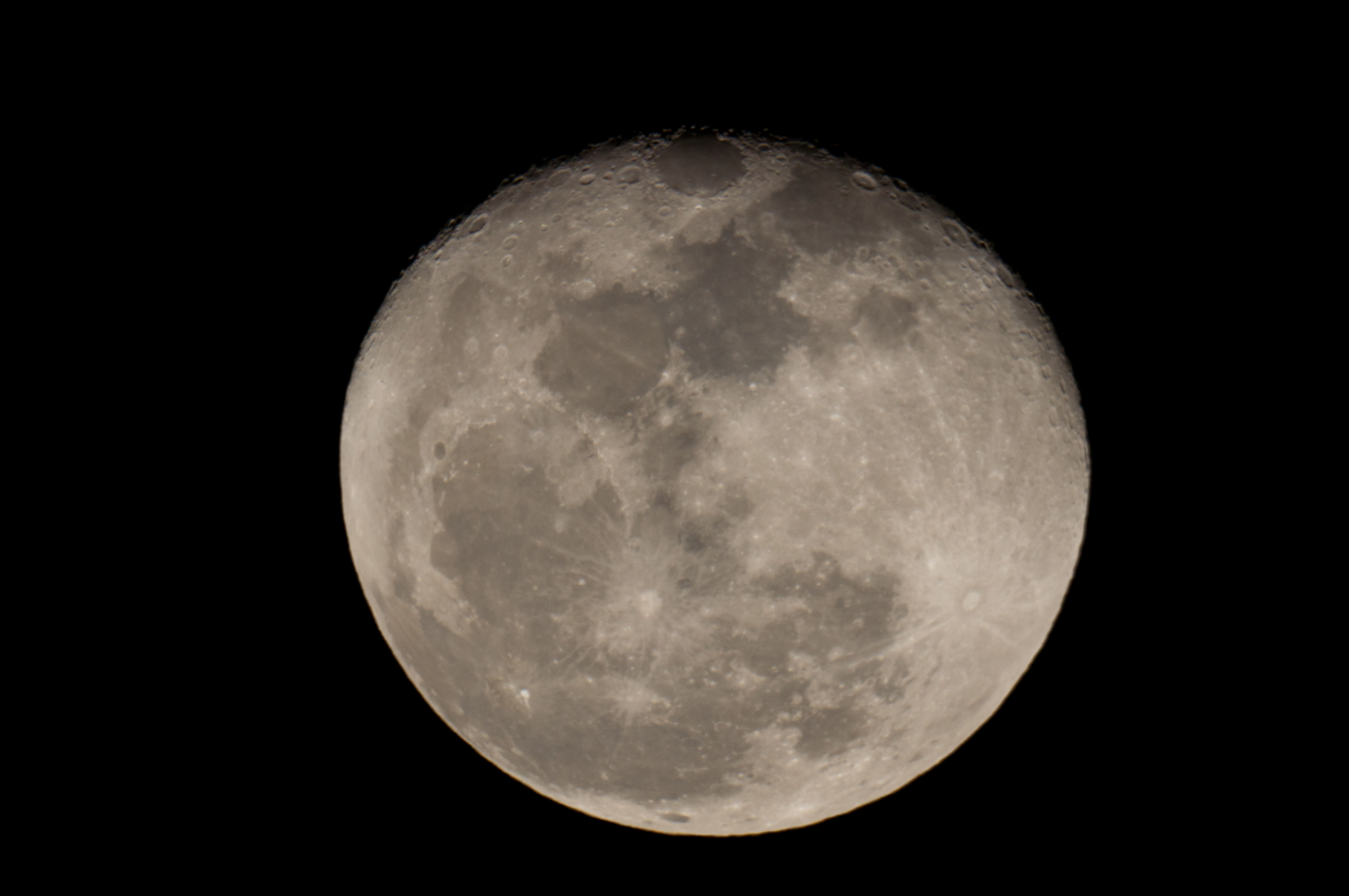 DSC04215.jpg