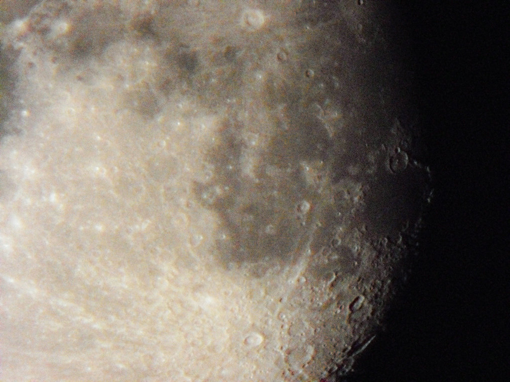 IMG_4454.JPG