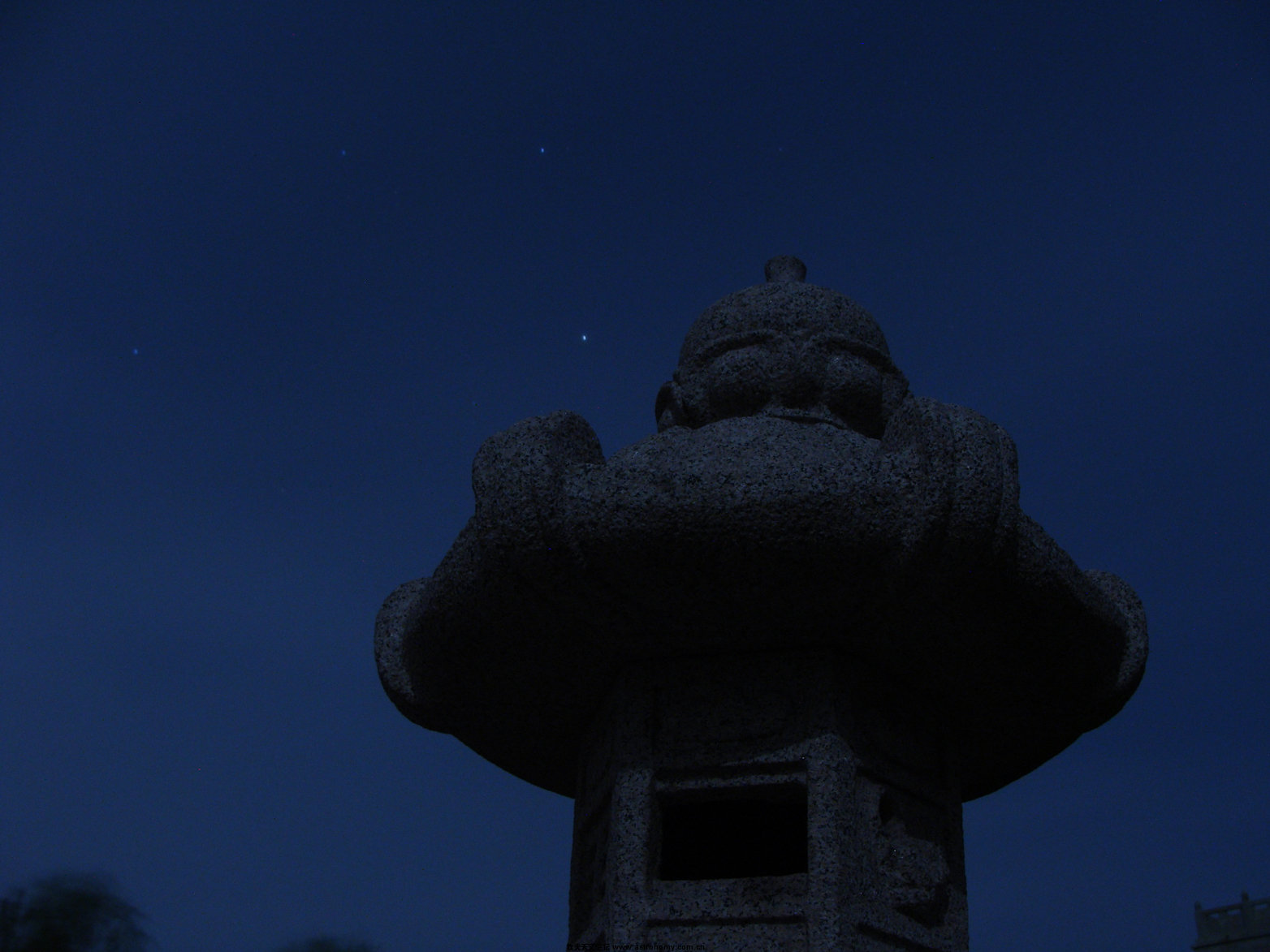 DSC02727.jpg