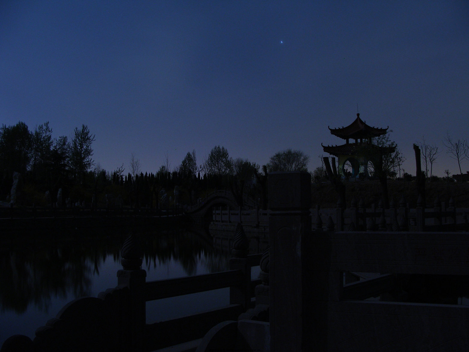 DSC02733.jpg