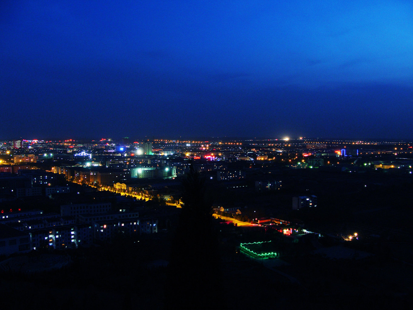 DSC02695.jpg