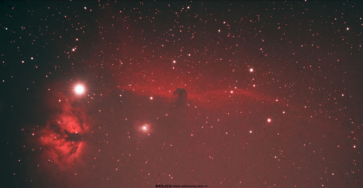 Horse Head Nebula_马头星云.jpg