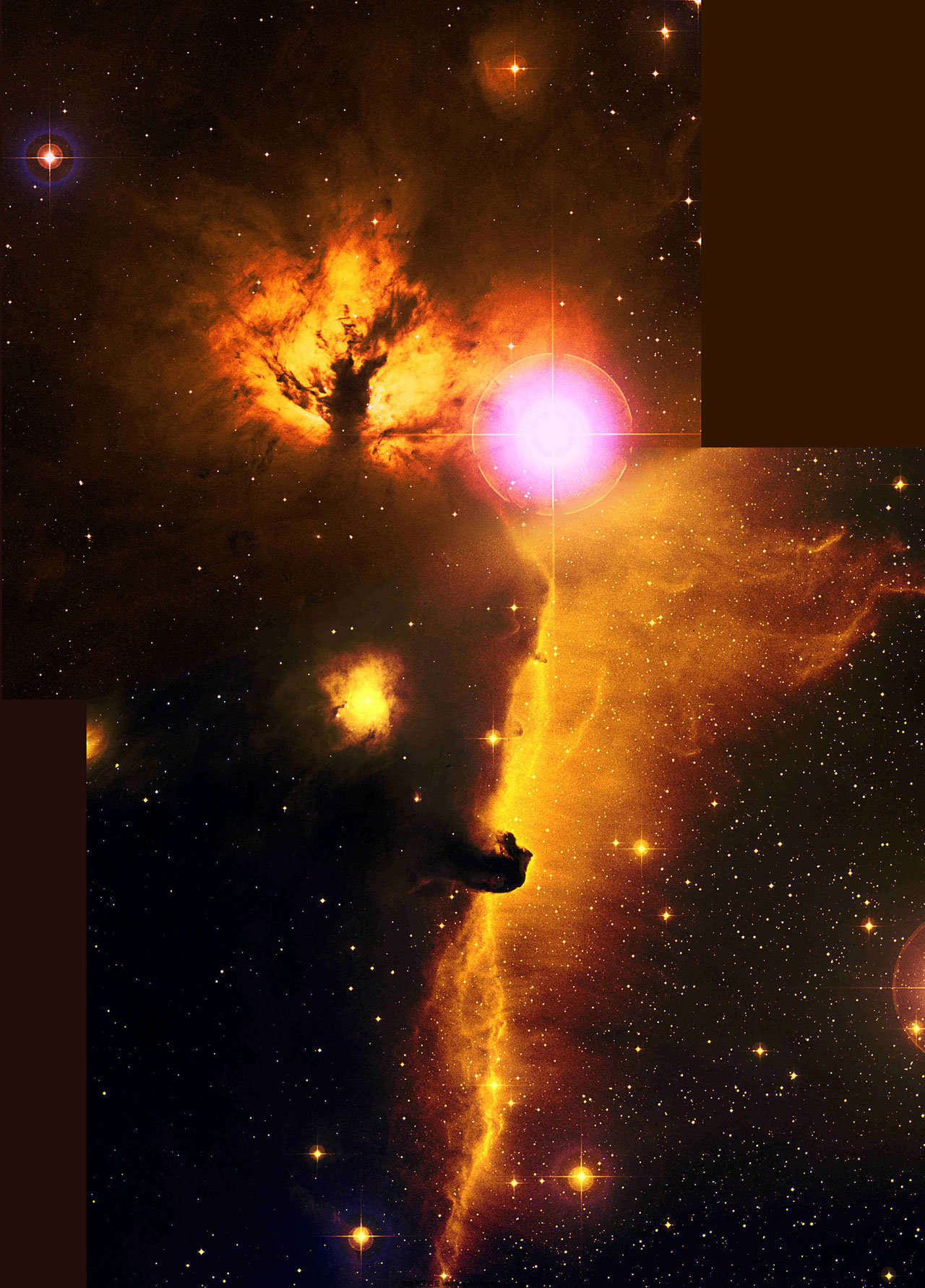 哈勃的NGC2024