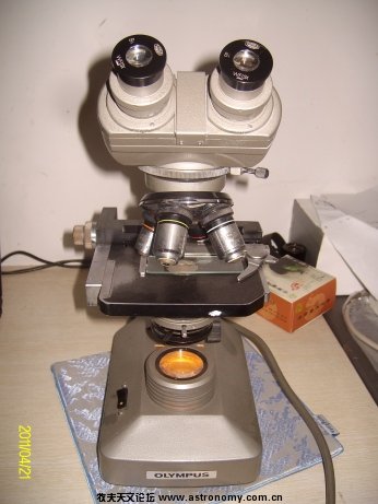 ALIM7654.jpg