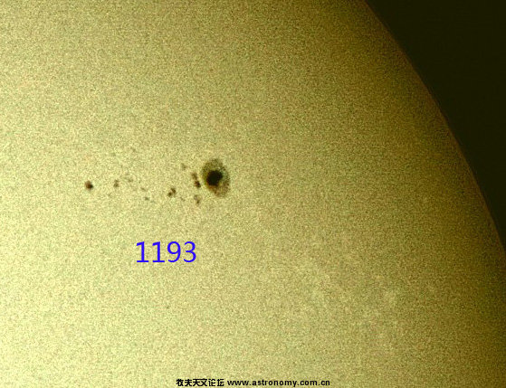 1193.jpg