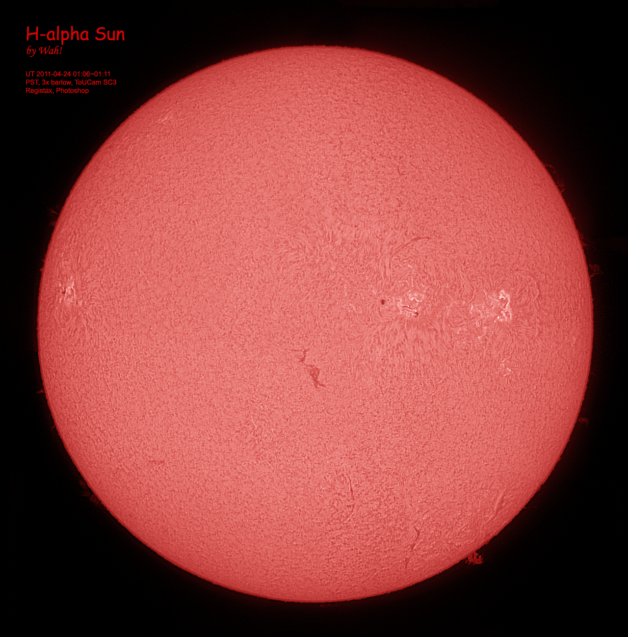 20110424_PSTSun.gif