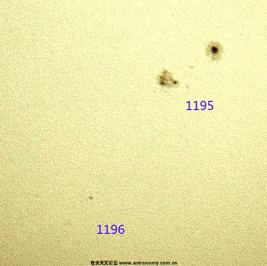 1195 96.jpg