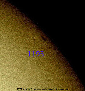 1193.jpg